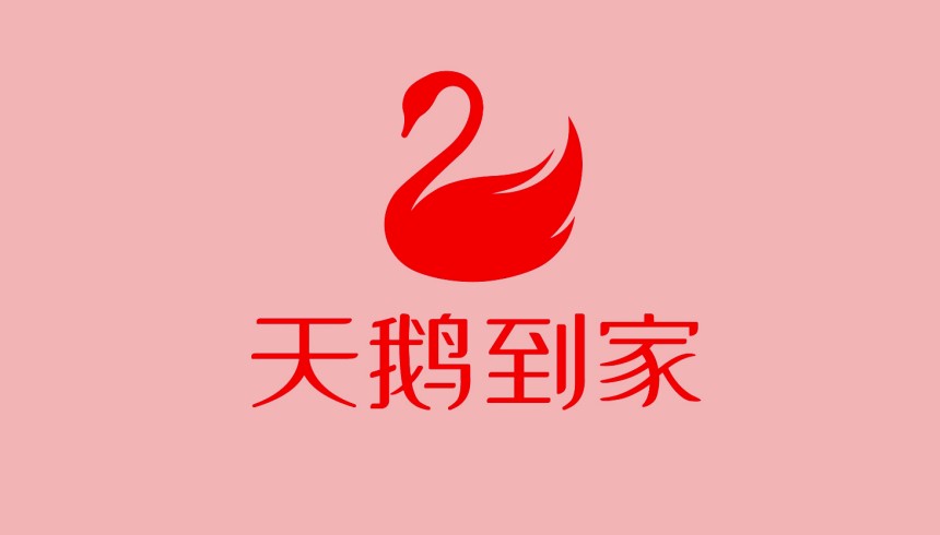 天鹅到家.jpg